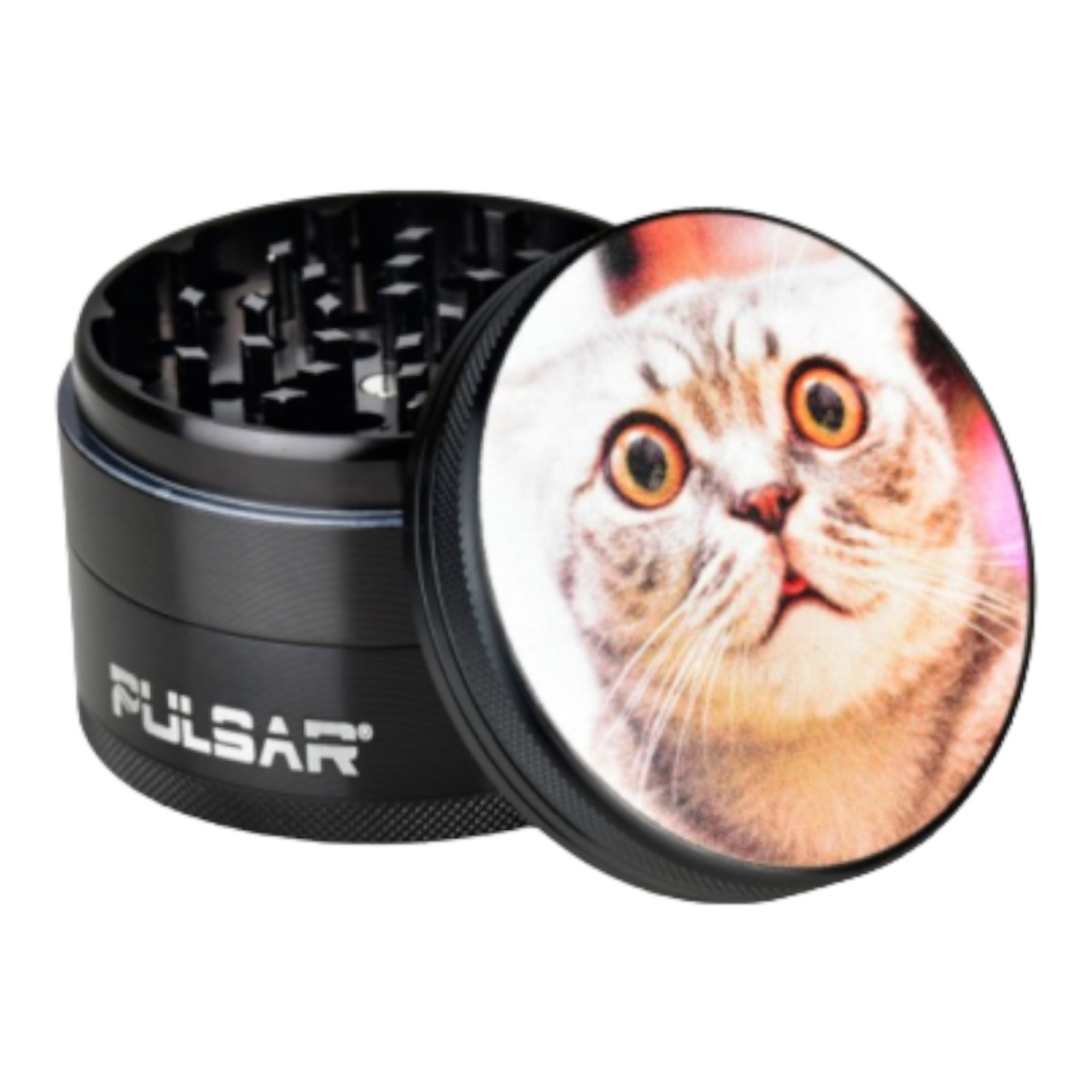 Гриндер PULSAR Cat
